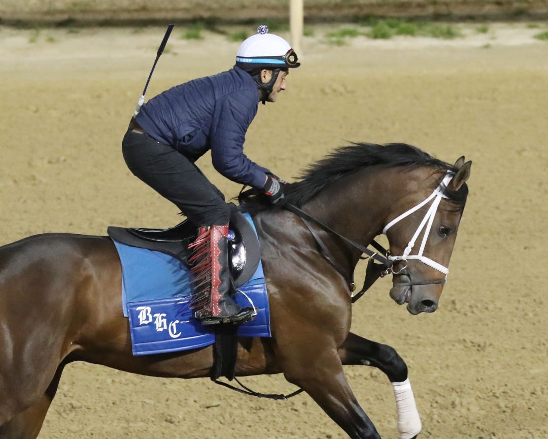 As the winner of the Arkansas Derby and Risen Star, Angel of Empire is safely in the field for the Kentucky Derby.