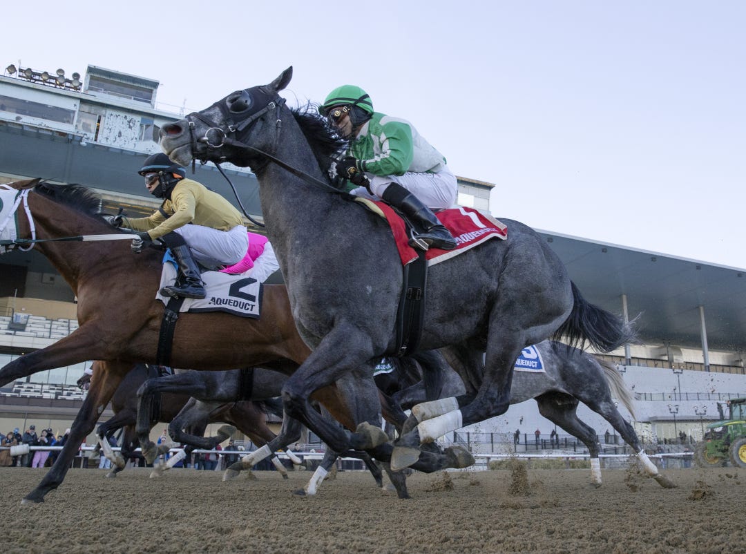 Arctic Arrogance.2-12-23