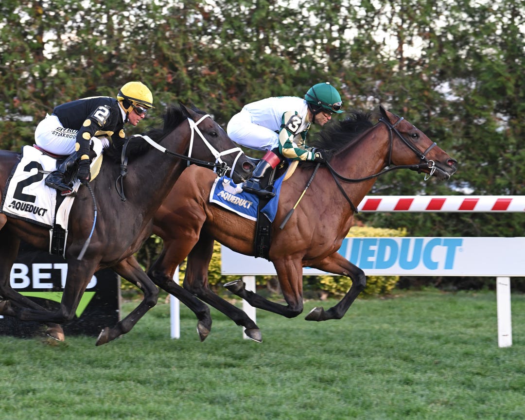 Big Everest wins the Artie Schiller Stakes last November to remain unbeaten in two starts on the Aqueduct turf. 