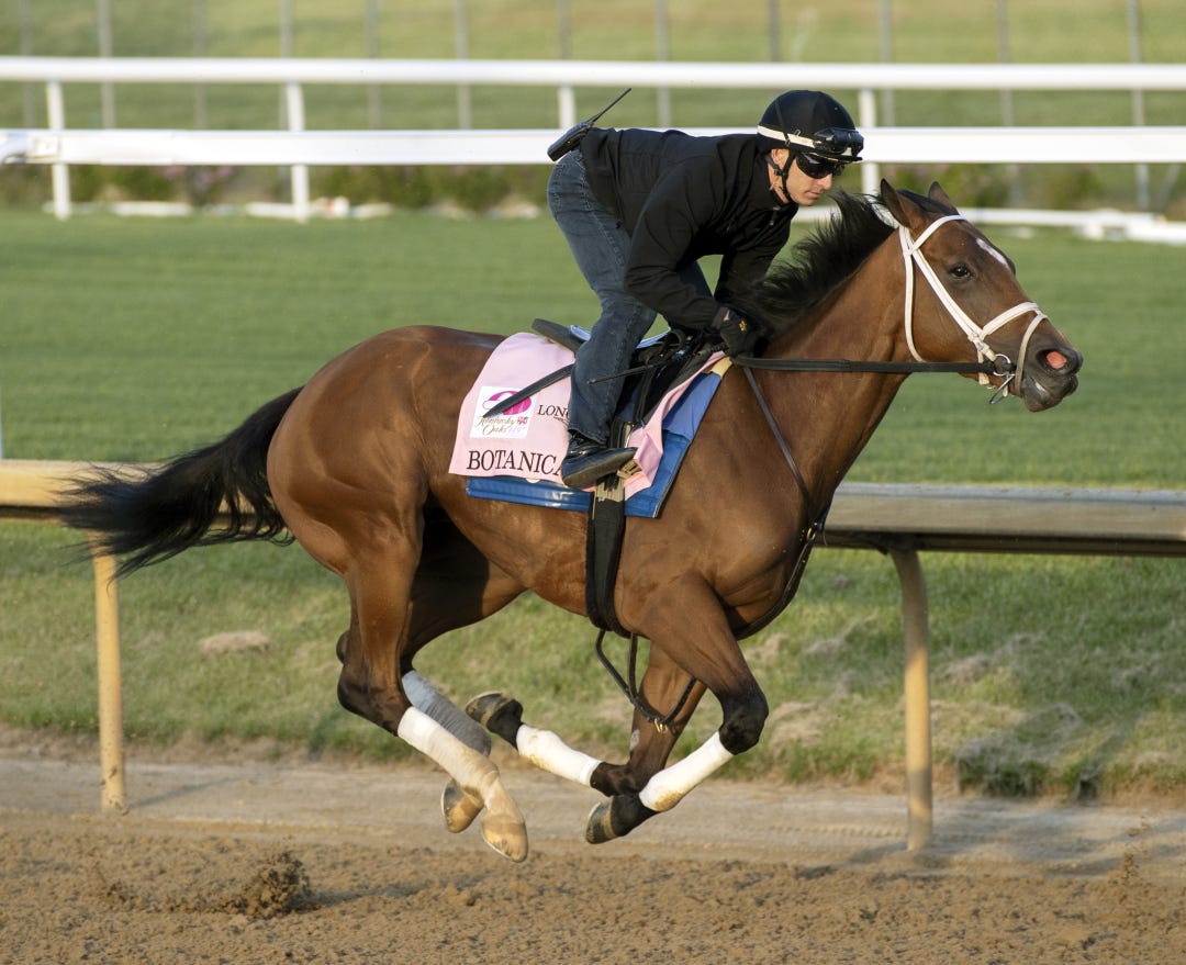 Botanical, trained by Brad Cox and ridden by Chris Landeros, works five furlongs in 1:00.48 on Thursday at Churchill Downs. The Kentucky Oaks will be her first start on dirt.