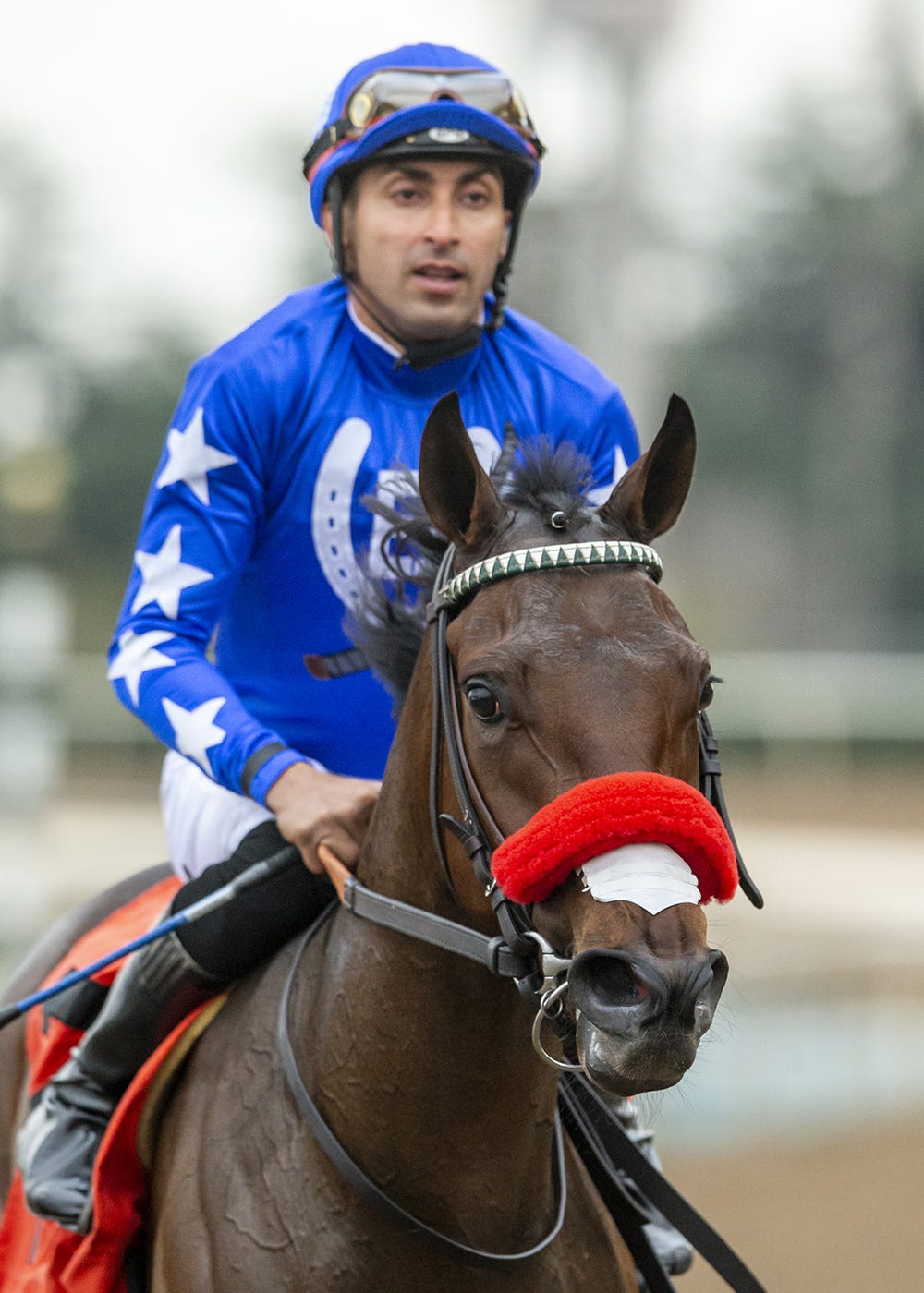 Edwin Maldonado won four races on Sunday, two for Peter Eurton and two for Doug O'Neill.