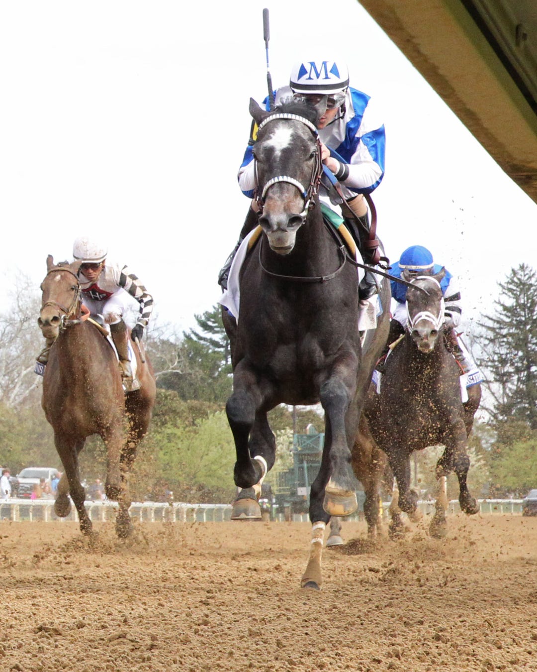Defining Purpose, trained by Kenny McPeek, clinches a spot in the Kentucky Oaks by winning the Ashland on Friday at Keeneland.