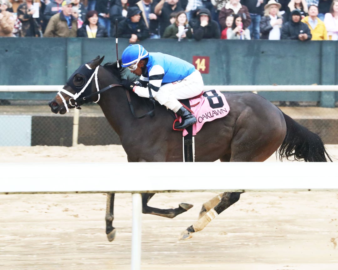 Easy Action (above) is among several speed horses in the Friday allowance feature who might help set the table for Protege.