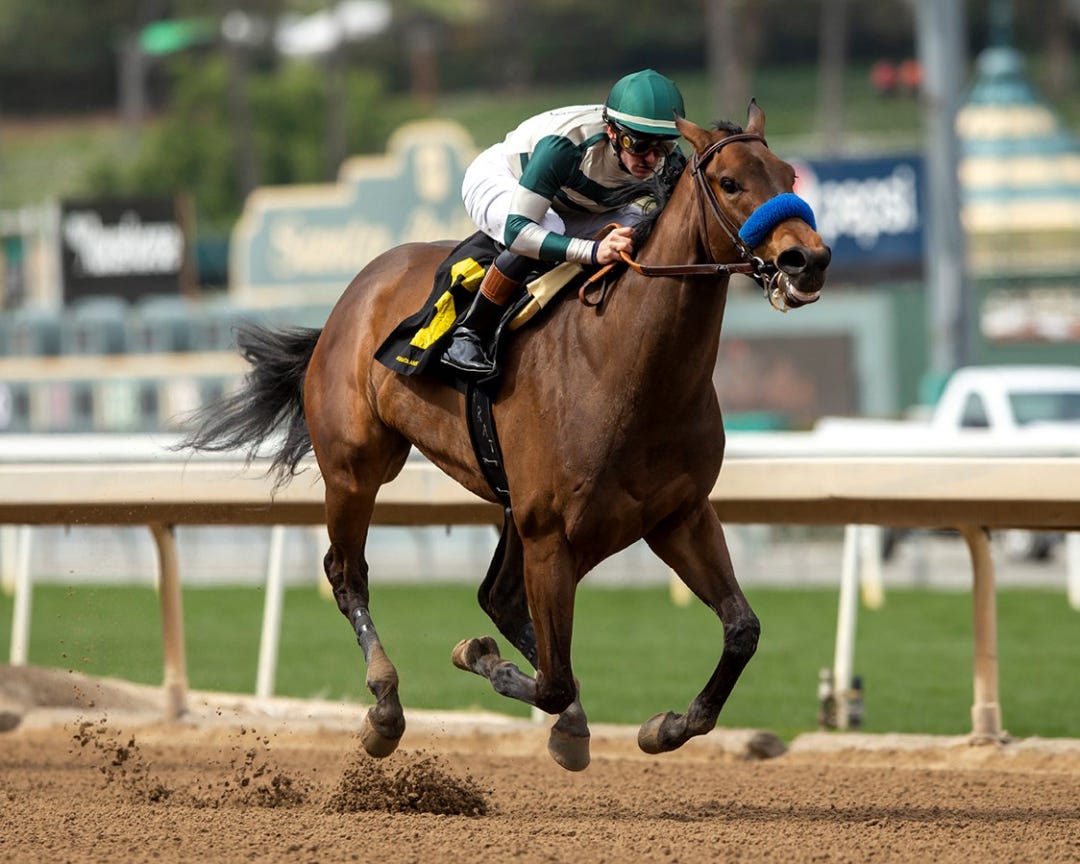 Faiza wins Santa Ysabel at SA March 5 2023