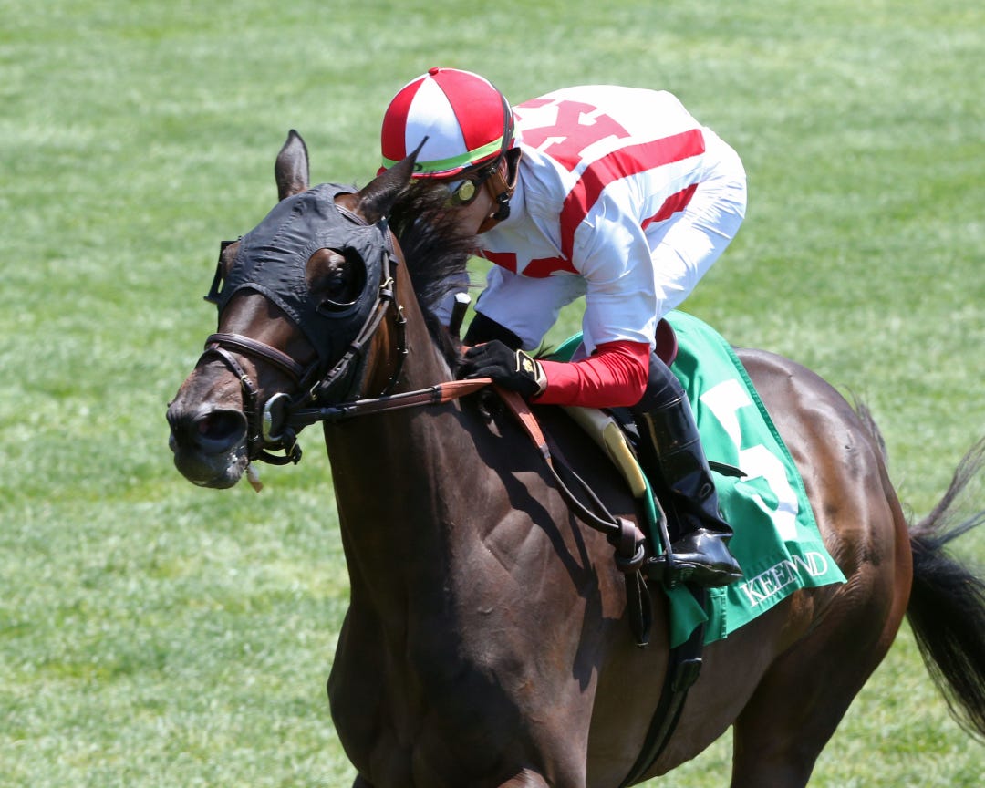 Federalist Papers makes her first start since October in an allowance race Thursday at Keeneland.