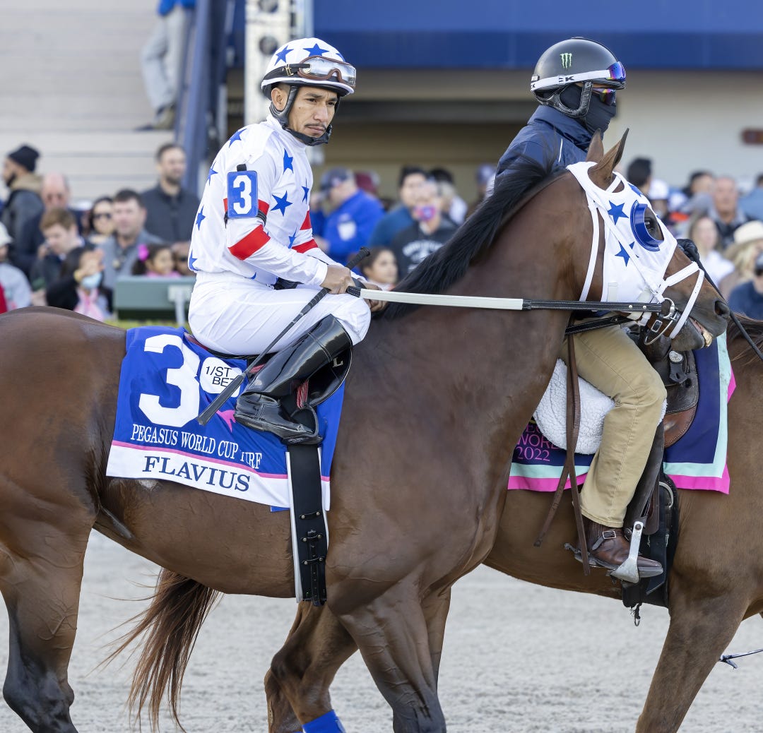 Flavius is expected to be among the favorites for the San Francisco Mile on Saturday.