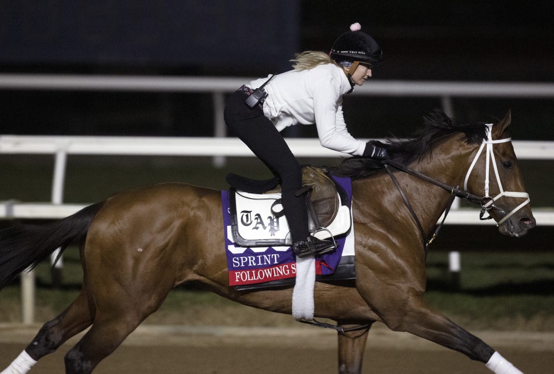 Last year, Following Sea won the Grade 2 Vosburgh, ran third in the Breeders' Cup Sprint, and finished second in the Grade 1 Cigar Mile.