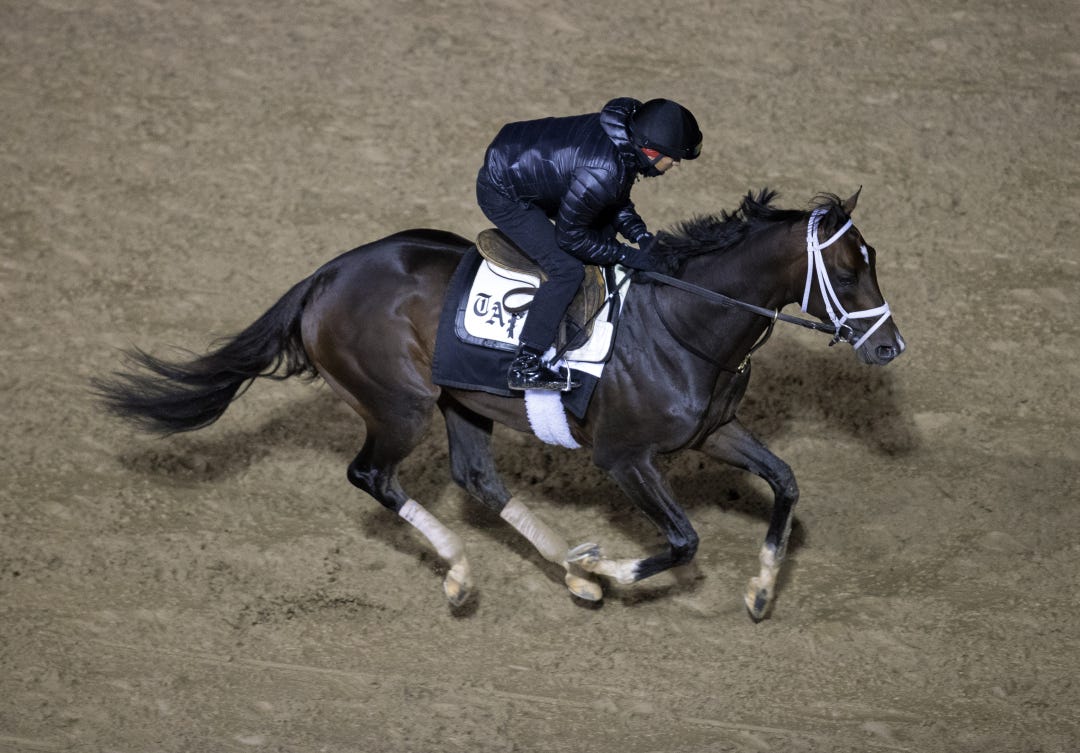 Forte gallops at CD April 22 2023