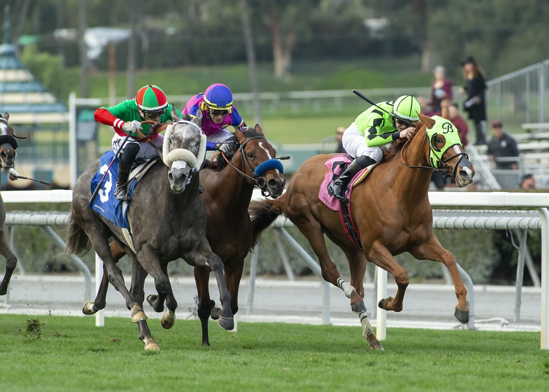 Sell the Dream (right) has been prominent in all four of her stakes tries, but has only three seconds and a third to show for them.