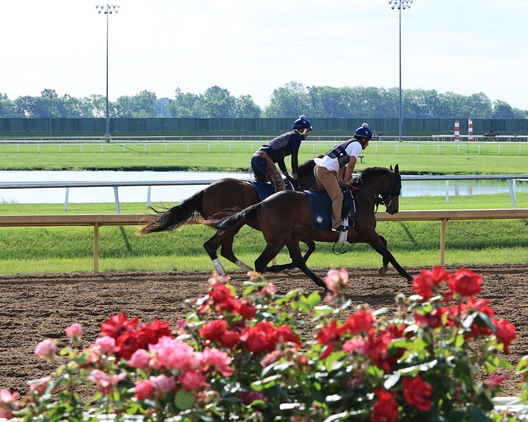 Horseshoe Indianapolis drew 99 horses for 10 races on Tuesday's opening-day card and 94 for Wednesday.