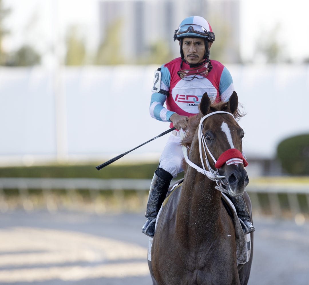In Due Time last year finished second in the Grade 2 Fountain of Youth and third in the Grade 3 Lexington.