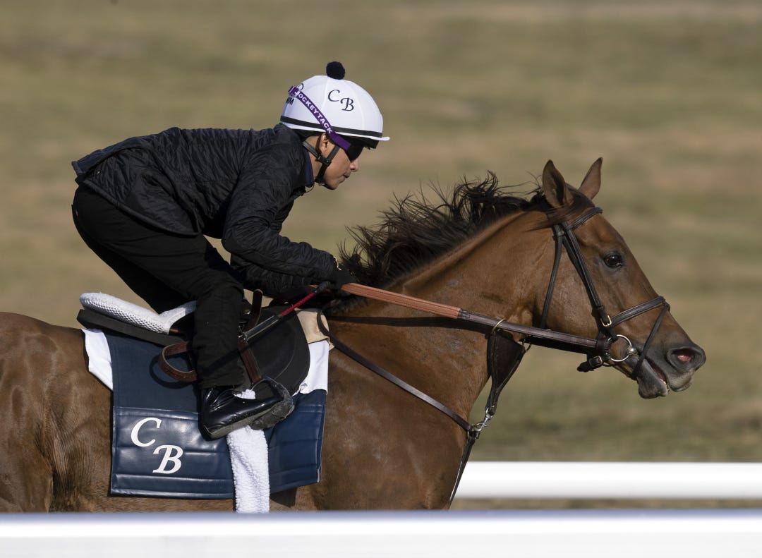 In Italian (above) and Speak of the Devil give Chad Brown a pair of aces in the Jenny Wiley on Saturday at Keeneland.