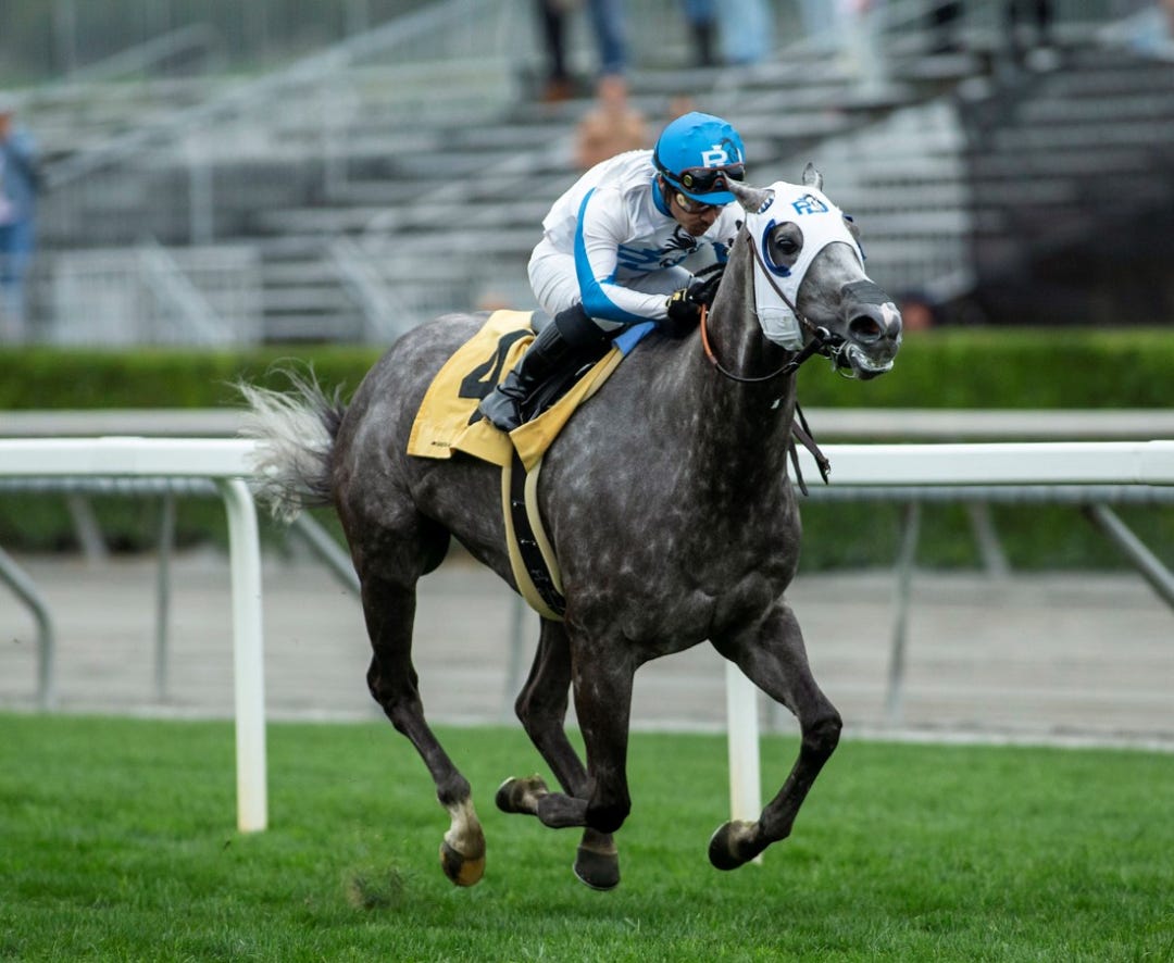 Leggs Galore wins Mizdirection Stakes at SA May 21 2023