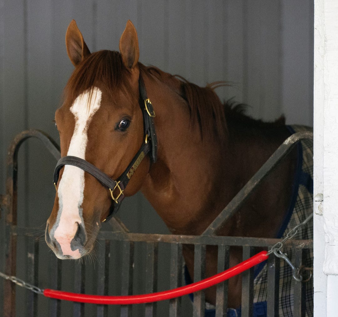 Mage at CD April 24 2023