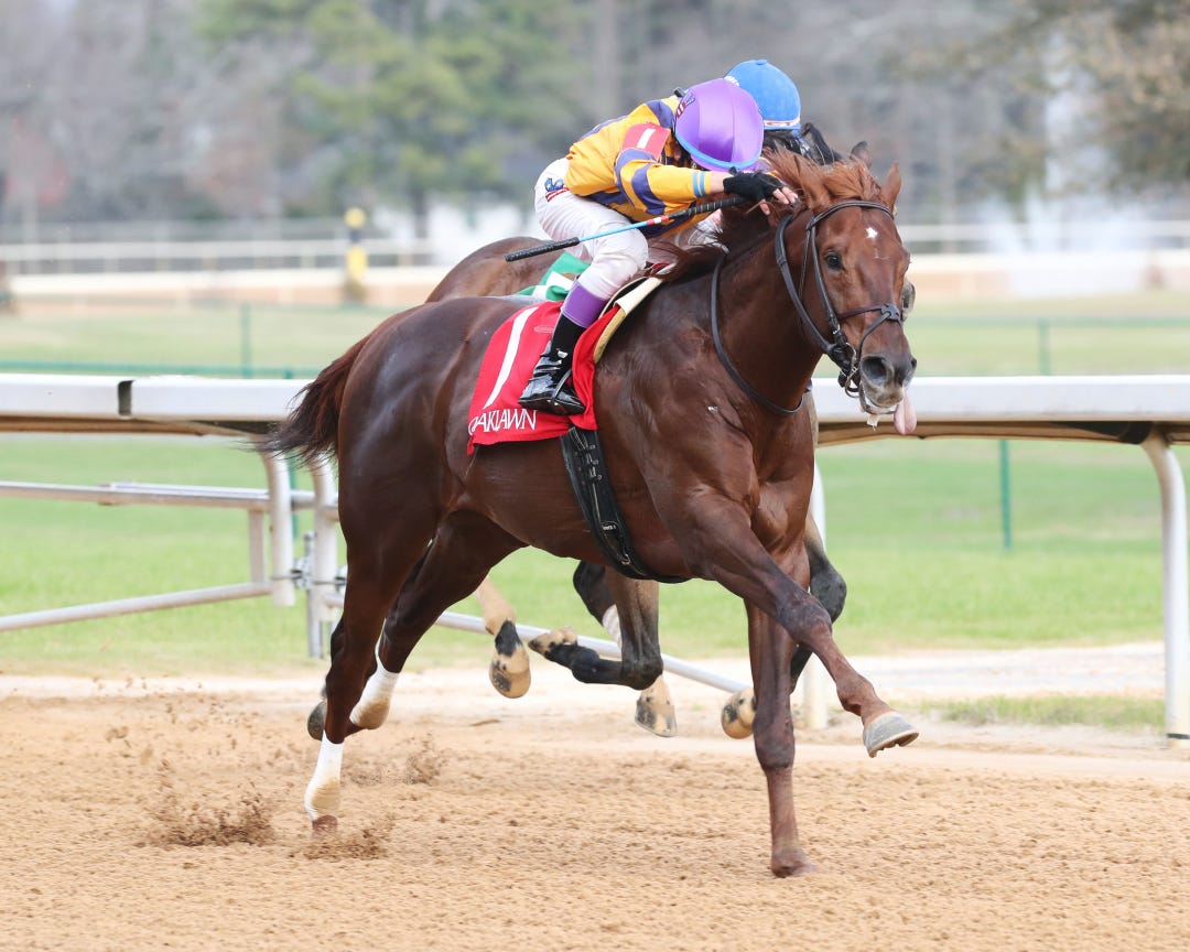 Mamzooj wins maiden at OP Jan 7 2023