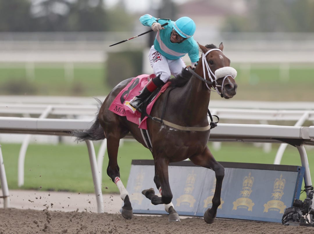 Moira wins Queen's Plate at WO Aug 21 2022