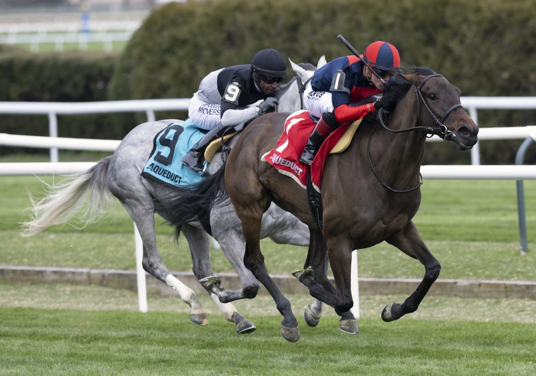 New Ginya wins at AQU April 8 2023