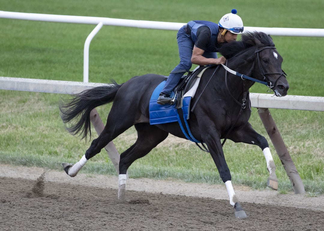 Outlier is a threat in Sunday's allowance feature at Oaklawn off a nose loss at the same level.