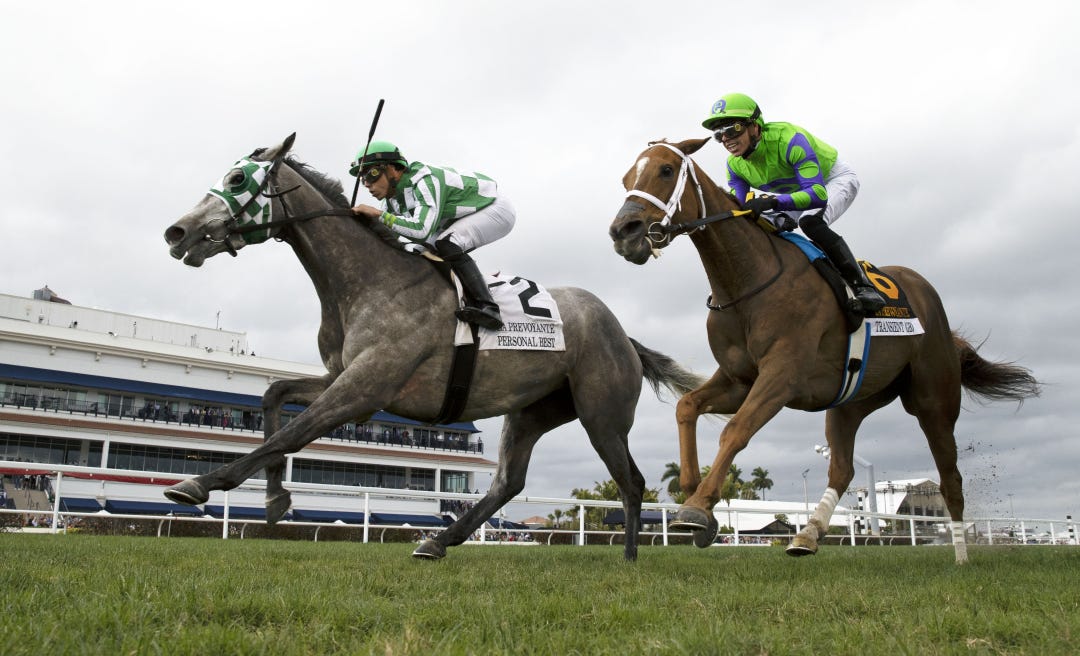 Personal Best wins the Jan. 28 La Prevoyante at Gulfstream. She runs Friday in the Bewitch at Keeneland, which also has attracted War Like Goddess, looking to three-peat in the race. 