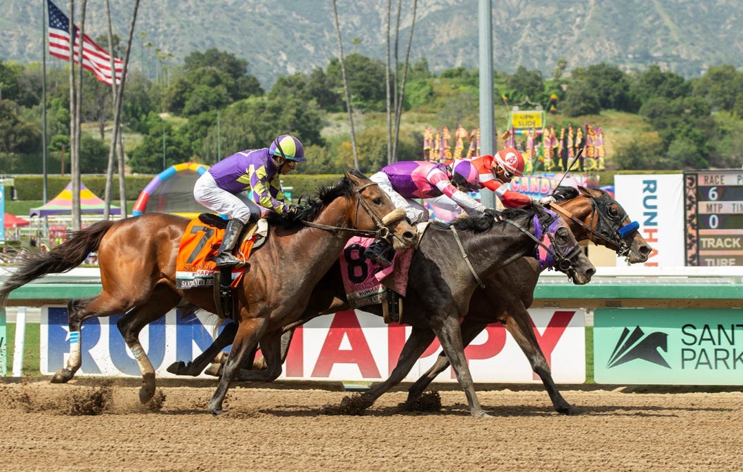 Practical Move-Mandarin Hero-Skinner SA Derby 4-8-2023