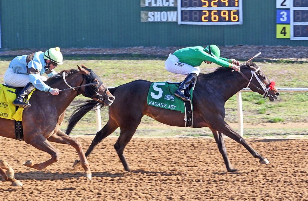 Ragan's Jet wins the Miranda Diane at WRD March 27 2023
