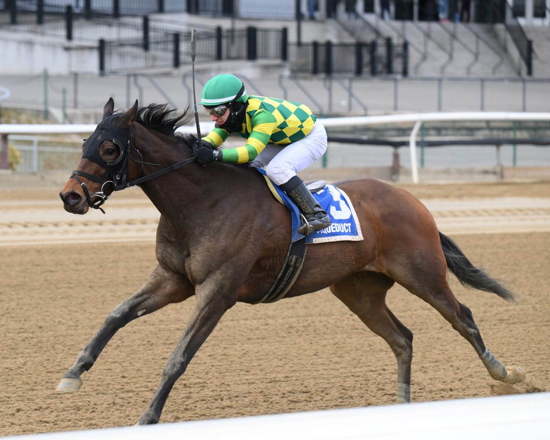 Repo Rocks wins the Stymie at AQU Feb 25 2023