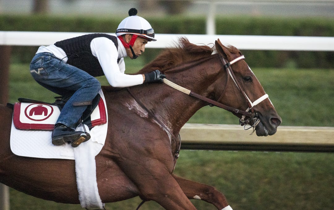 Trainer Eric Reed plans to run Rich Strike three times at Churchill this year: In the Alysheba, the Stephen Foster, and the Lukas Classic.