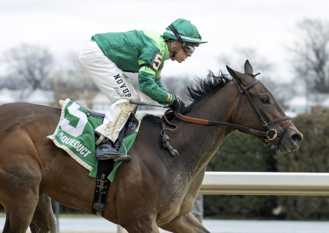 Shidabhuti wins the Busher at AQU March 4 2023