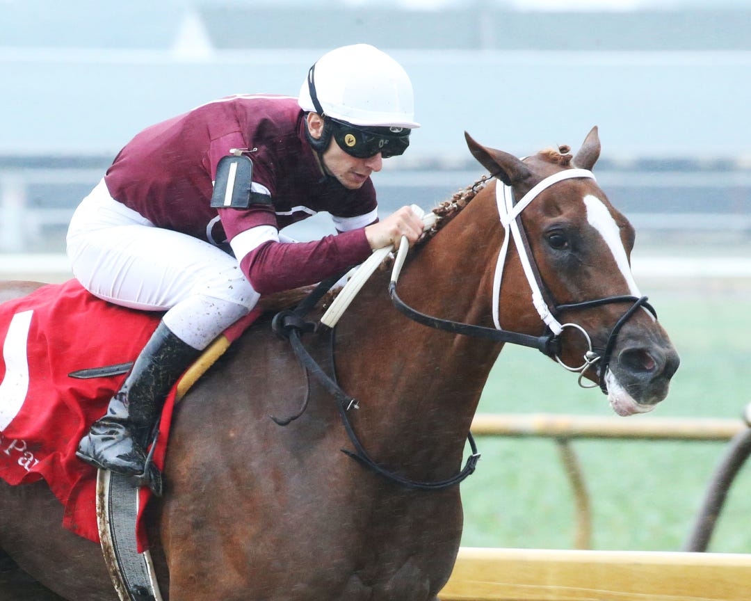 Speedometer set the pace and tired going a mile last out. She’ll have to carry her speed only six furlongs on Friday.