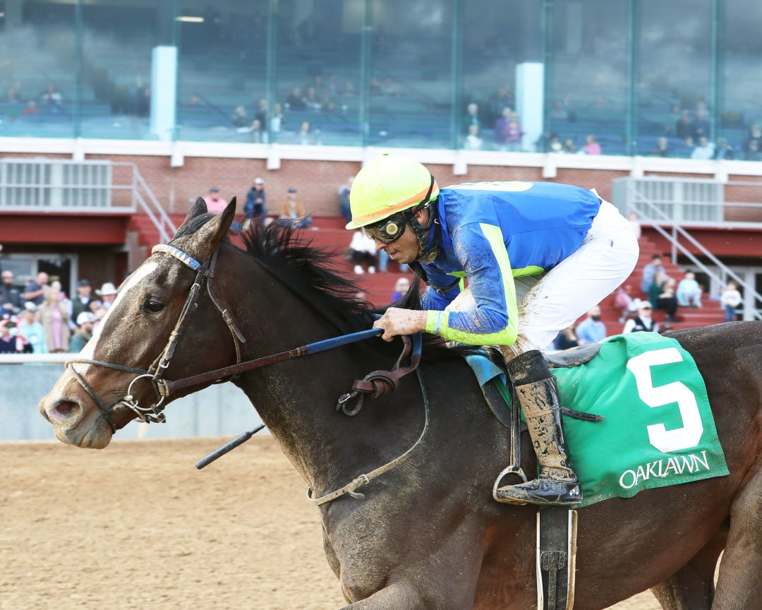 Sun Thunder wins maiden race at Op Dec 31 2022