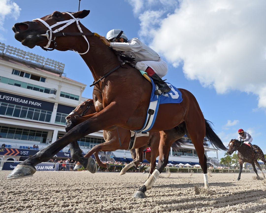 Swirvin wins maiden at GP Dec 3 2022