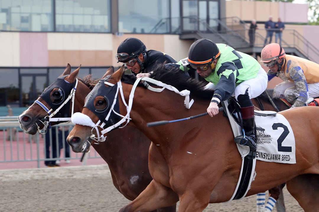 Twisted Ride (No. 2) beats Uncle Ernie in the Page McKenney at Parx April 24 2023
