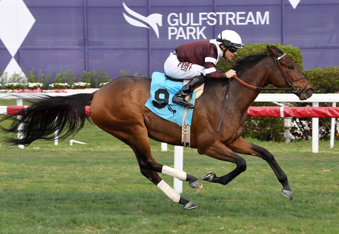 White Frost wins at GP Jan 26 2023