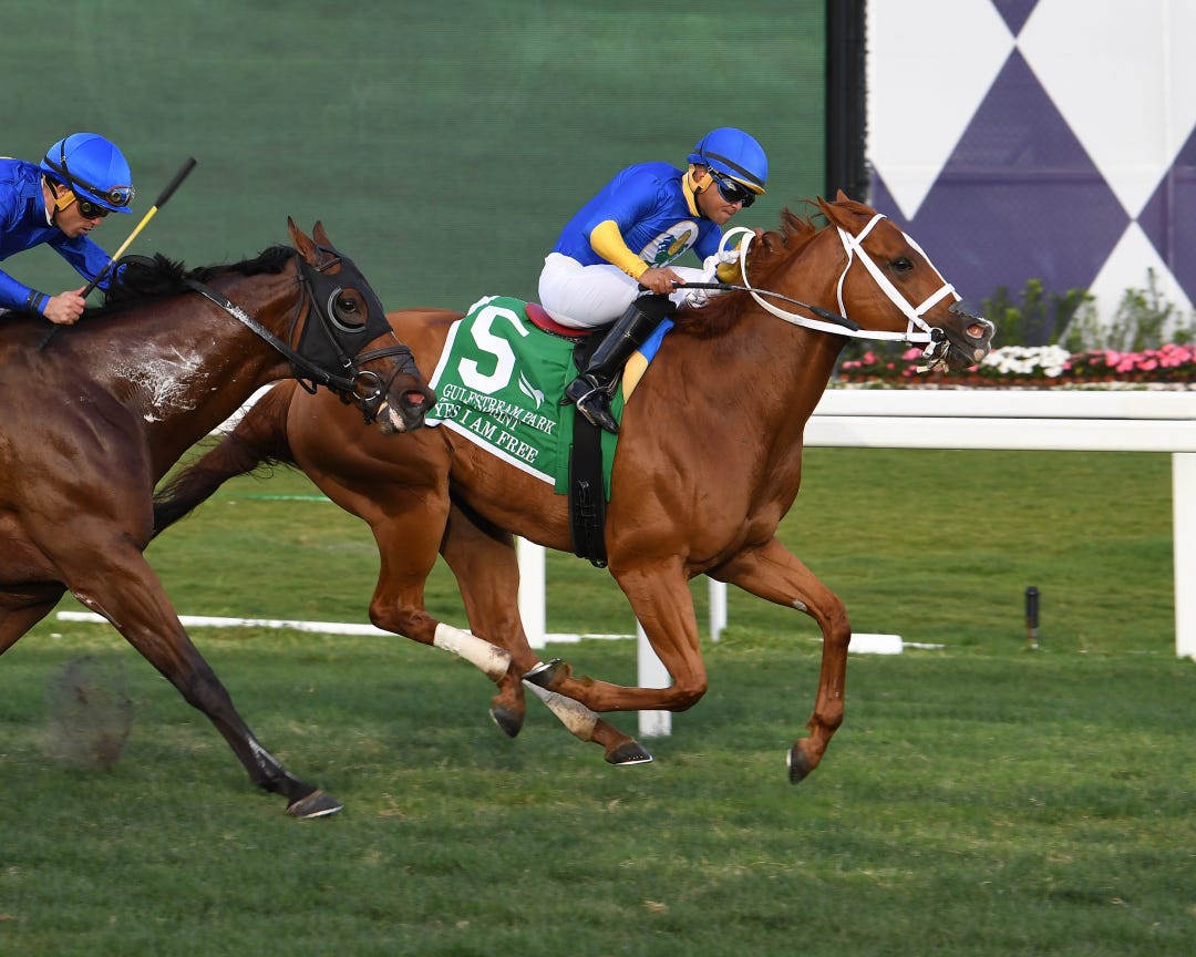 Yes I Am Free typically goes to the lead, and he might have company there in Saturday's feature at Gulfstream.