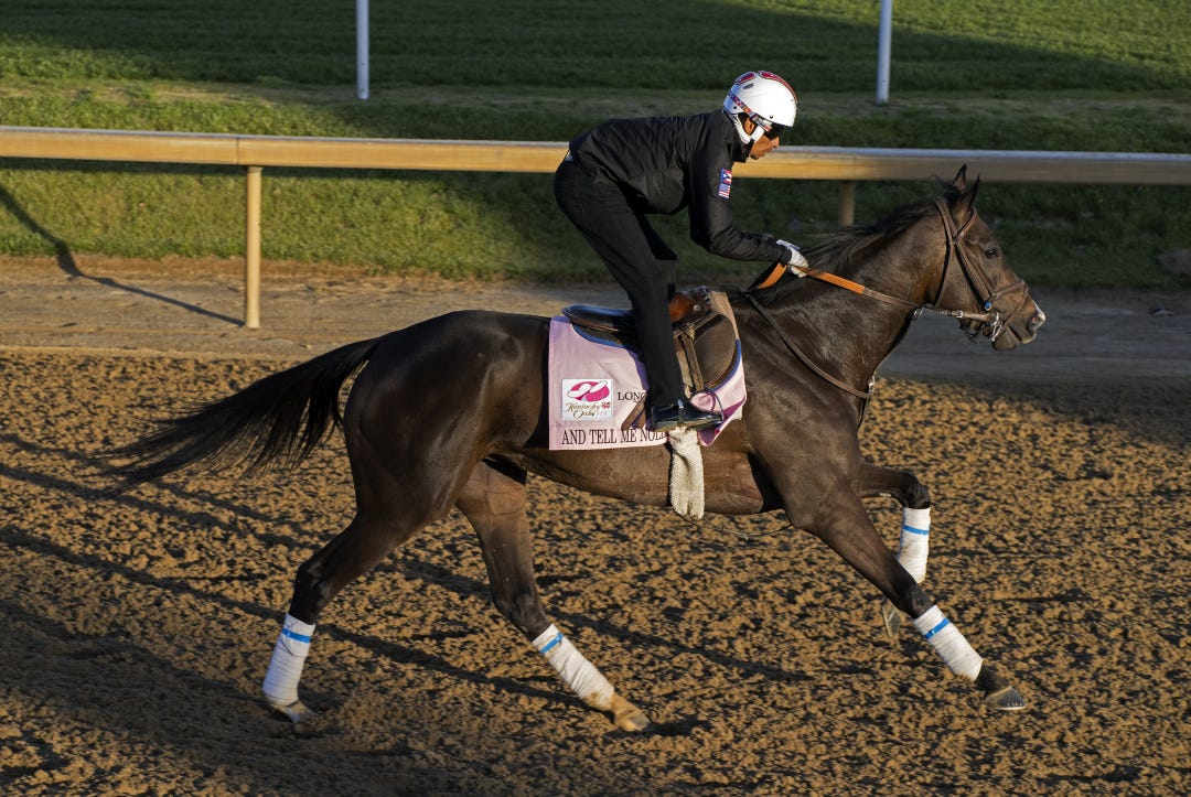And Tell Me Nolies, here training at Churchill Downs on Tuesday, and Affirmative Lady represent the late sire Arrogate in Friday's Kentucky Oaks.