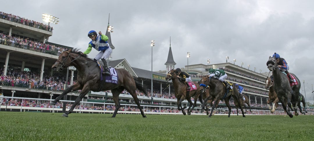Arrest Me Red won last year's Twin Spires Turf Sprint (above) and is back Saturday to defend that victory.