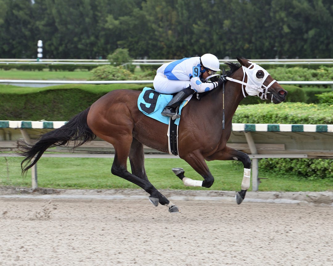 Battle Cry has won four of her last five starts entering Sunday's overnight handicap at Gulfstream.