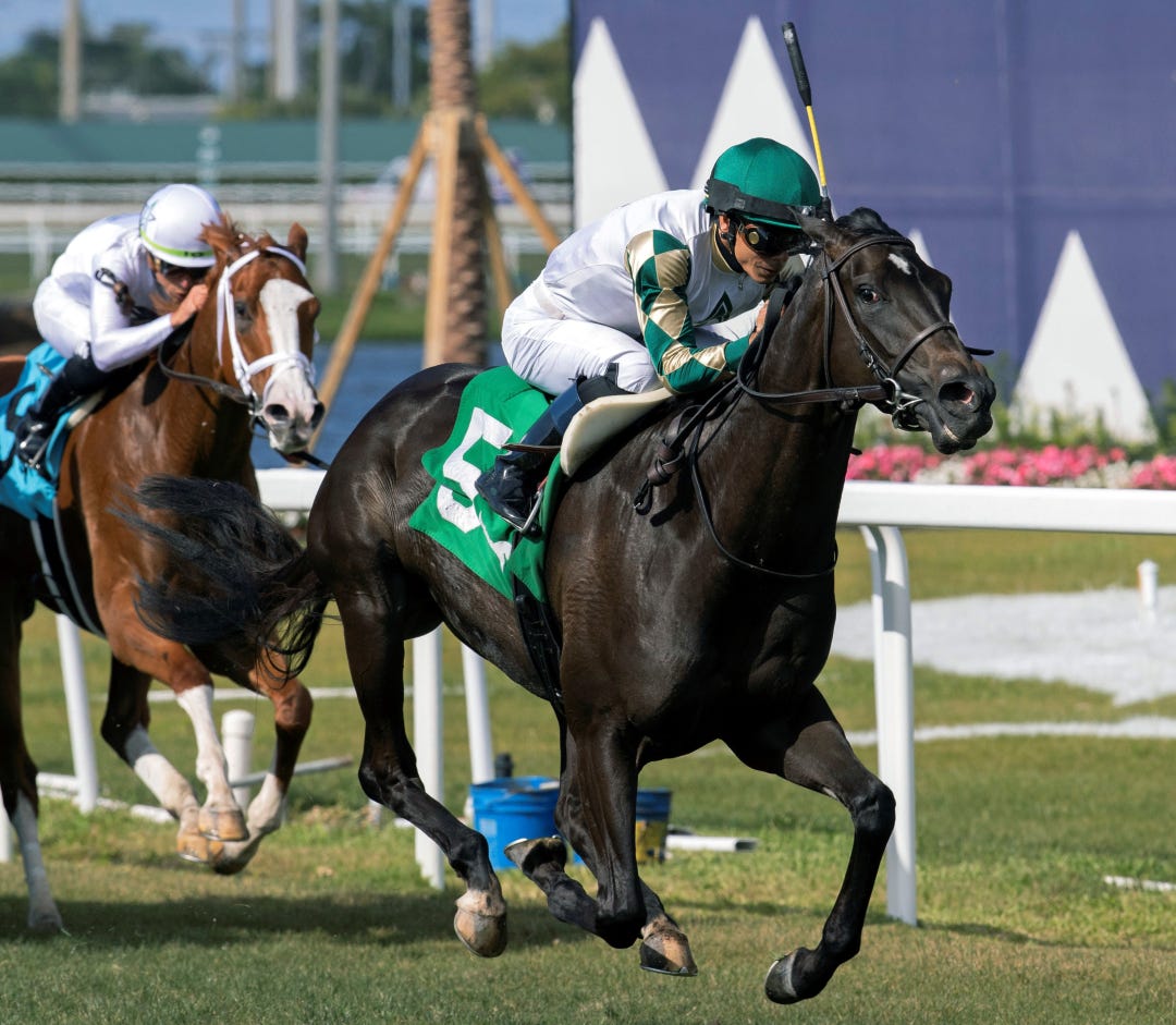 Breath Away wins Sanibel Island at GP April 1 2023