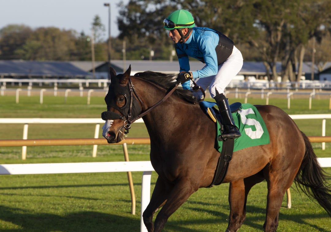 Chess Master wins the Turf Dash at Tampa Bay Downs in February with a Beyer Speed Figure of 100.
