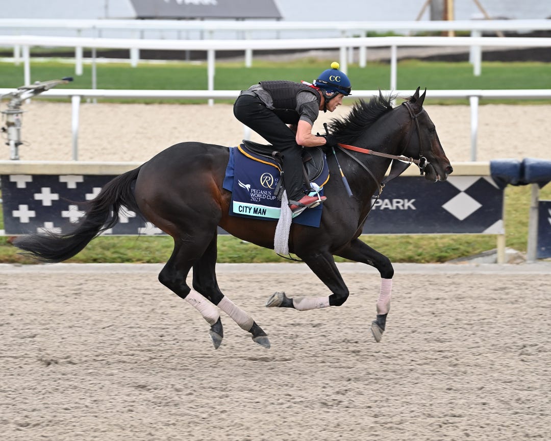 City Man runs Saturday for the first time since his 12th-place finish in the Jan. 28 Pegasus World Cup Turf.