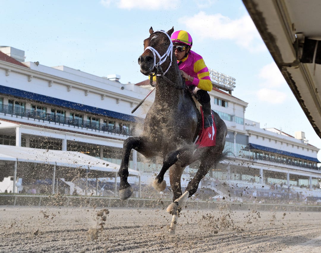 Classic Catch wins at GP March 2 2023