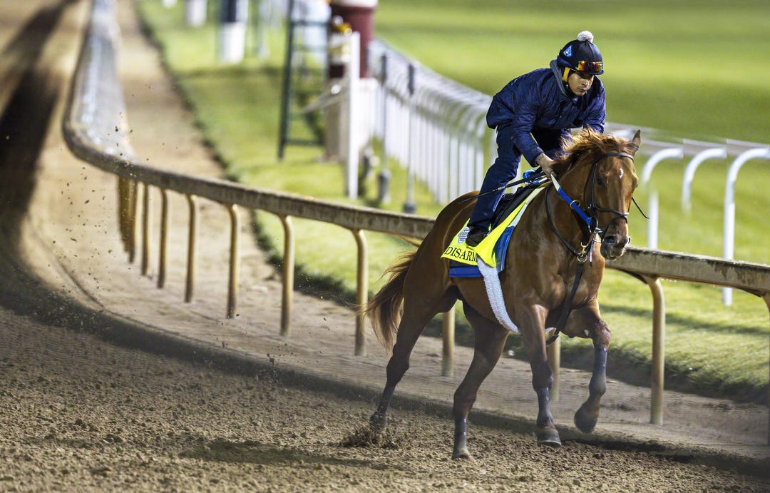 Disarm, trained by Steve Asmussen, works a half-mile in 49.24 seconds early Monday morning at Churchill Downs.