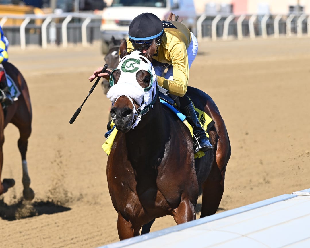 Drew's Gold wins Jimmy Winkfield at AQU Feb 11 2023