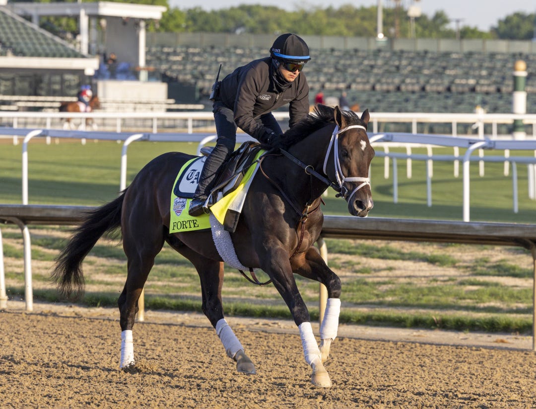 Forte, shown here Thursday, galloped Friday with a three-quarter shoe. Trainer Todd Pletcher said it was a routine adjustment meant to take pressure off the colt's heel.