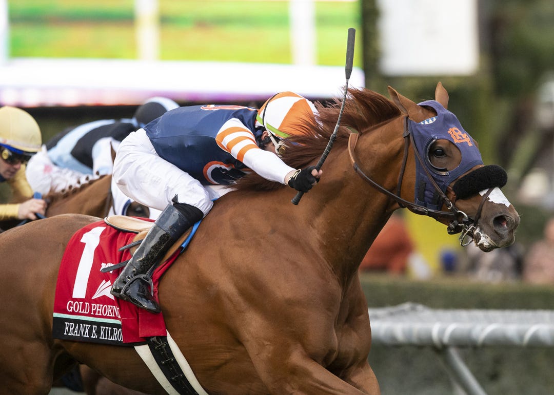 Gold Phoenix (above) and Hong Kong Harry are the expected favorites in the Shoemaker Mile.