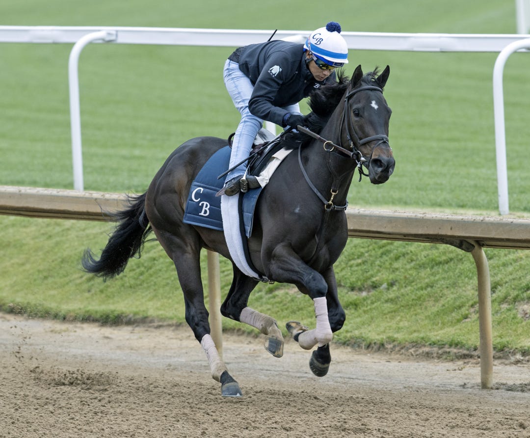 Goodnight Olive, last year's champion female sprinter, will be a heavy favorite to stretch her win streak to eight in the Derby City Distaff on Saturday at Churchill Downs.