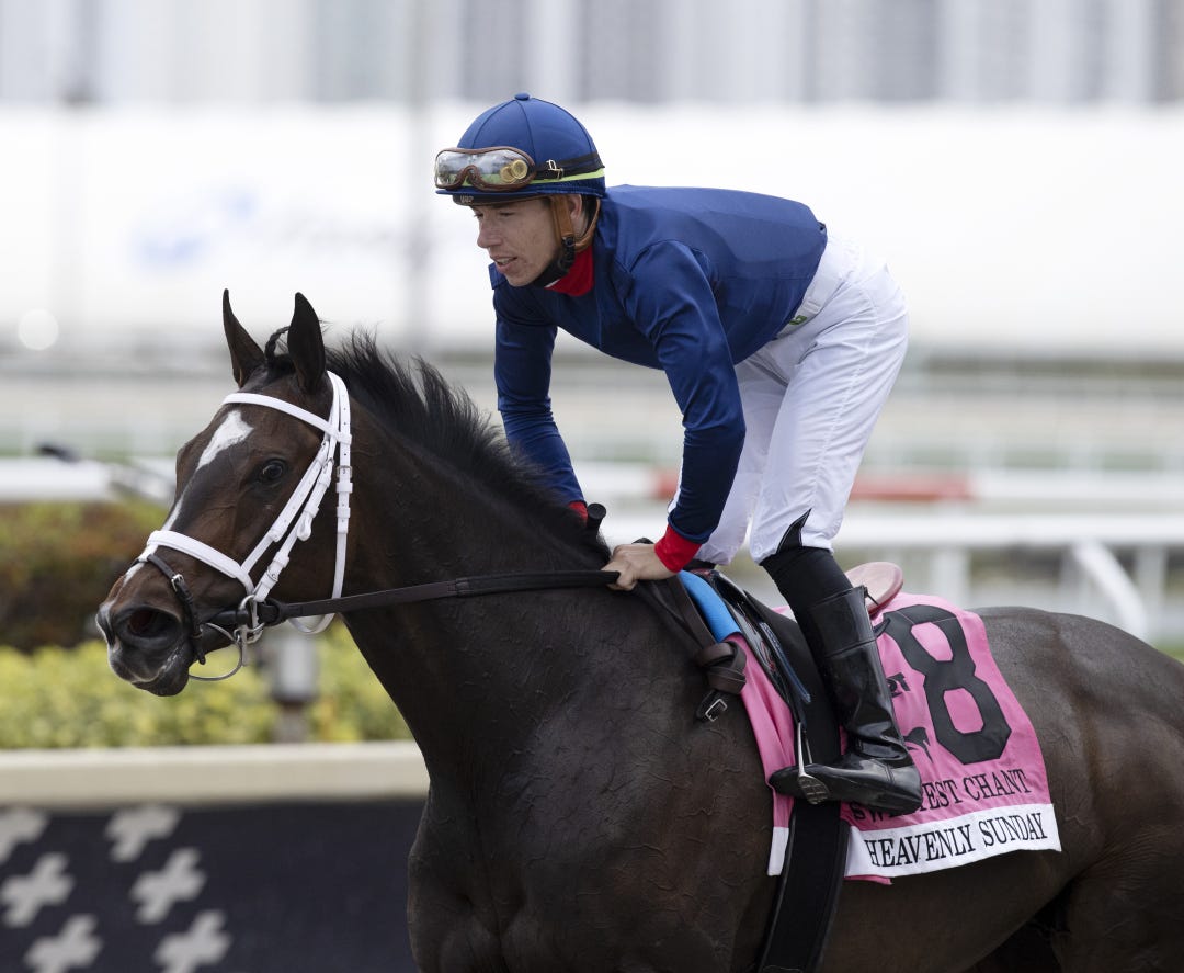 Heavenly Sunday has finished third in both of her starts this year.