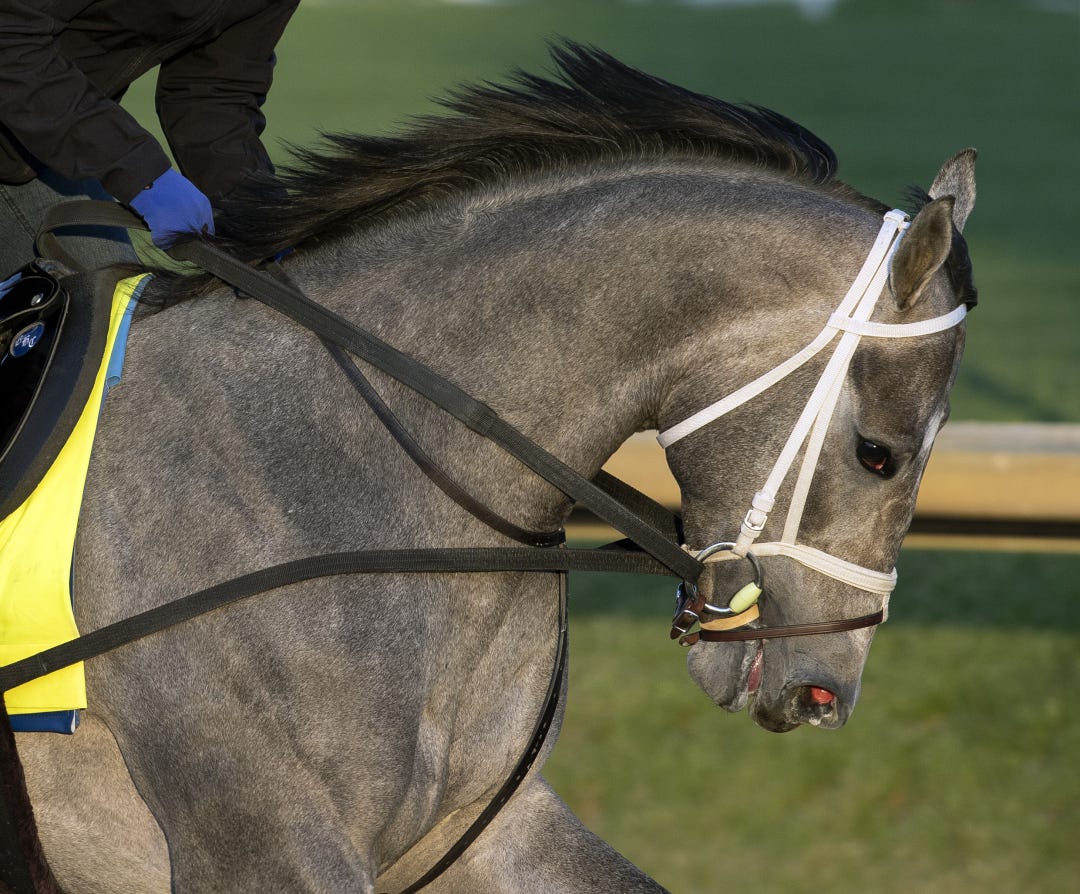The rail-drawn Hit Show is owned by Mary and Gary West and trained by Brad Cox.