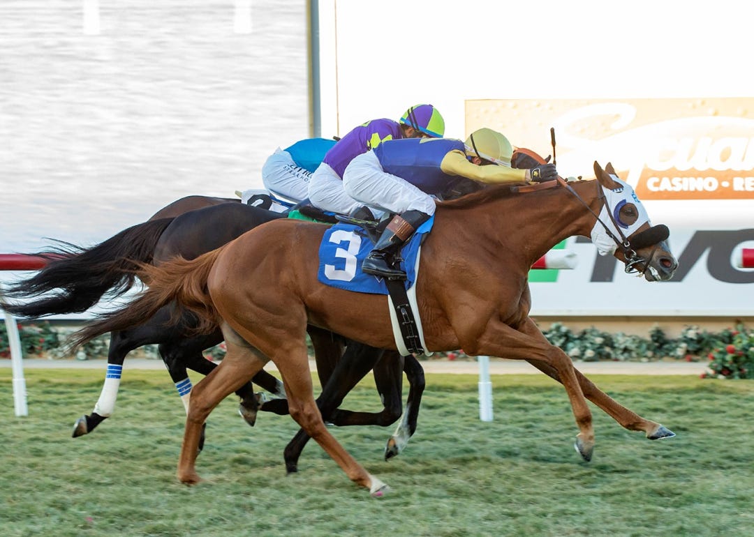 Hong Kong Harry wins the Seabiscuit at.DMR Nov 26 2022