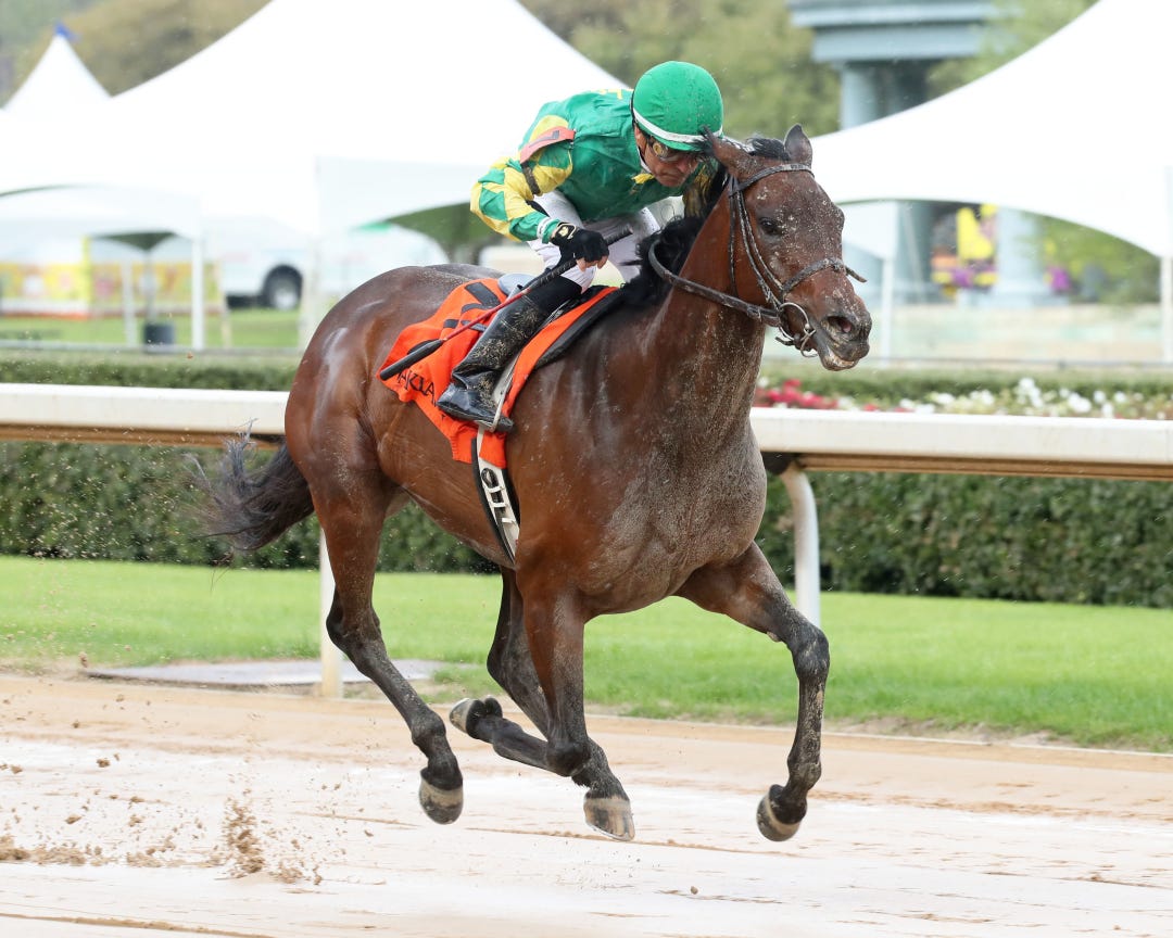 Kaboom Baby wins at OP March 31 2023